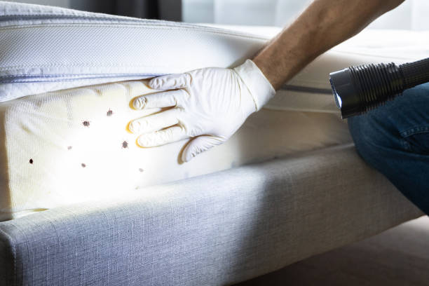 Best Best Pest Control Companies  in Florence, MS