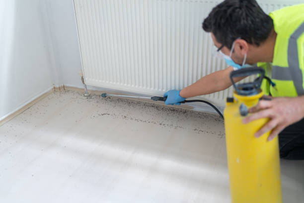 Best Pest Control for Businesses  in Florence, MS