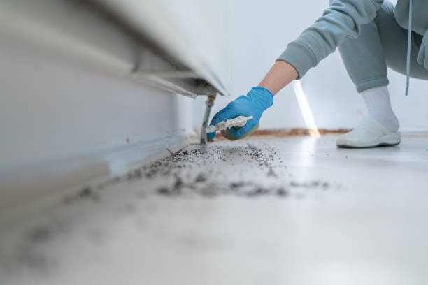 Best Commercial Pest Control Services  in Florence, MS