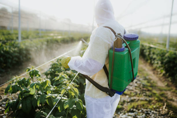  Florence, MS Pest Control Pros